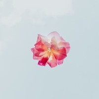 경화수월 (鏡花水月) (Park Ver.)/반응점 - 벅스 경화수월 (鏡花水月) (Park Ver.)/반응점 - 벅스