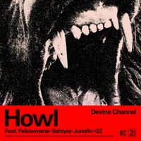 Image Cover