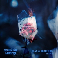 Image Cover