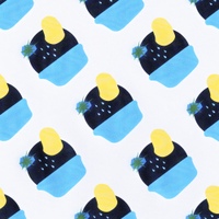 Image Cover