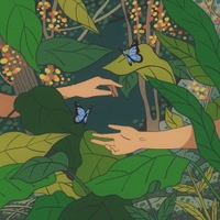 Image Cover