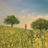 Image Cover