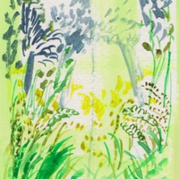 Image Cover