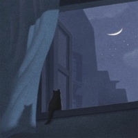 Image Cover