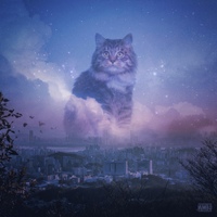 Image Cover
