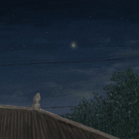Image Cover