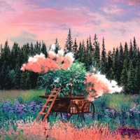 Image Cover