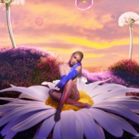 Image Cover