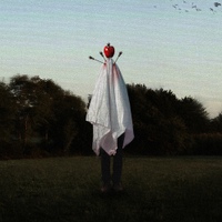 Image Cover
