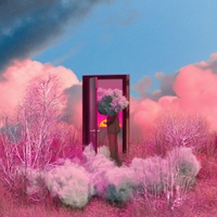 Image Cover