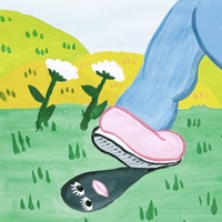 Image Cover