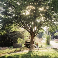Image Cover