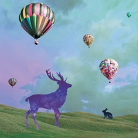 Image Cover