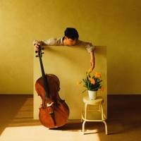 Image Cover