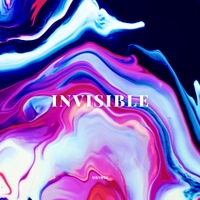 Invisible 사진