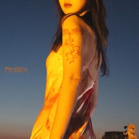Phoenix 사진