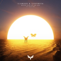 Image Cover