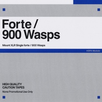 Forte / 900 Wasps 사진