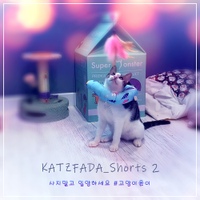 고양이 윤이 사진