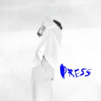 Dress 사진