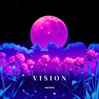 VISION 사진