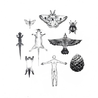 Bones And Wheels 사진