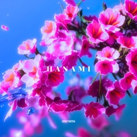 HANAMI 사진