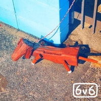 우리의 친구 머피처럼 사진