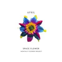 Monthly Flower Project #4 사진