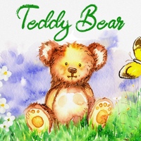 Teddy Bear 사진