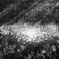 BORNGARDEN 사진