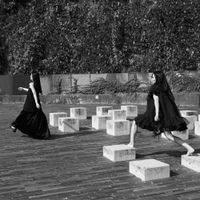 매미 사진