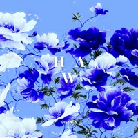 HWA 사진