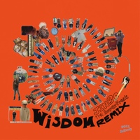 Wisdom (JINBO the SuperFreak Remix) 사진