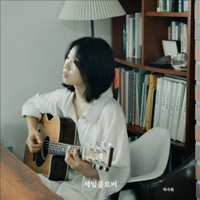 세잎클로버 사진