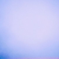 Dream Paradise 사진