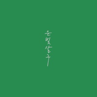 은빛살구 OST 사진