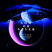 Now Or Never 사진