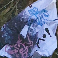 처방전 사진