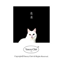 더 사운드 오브 얀씨클럽 2 - 봄이여, 오라 ! (THE SOUND OF YANCEY CLUB 2 - SPRING IS HERE !) 사진