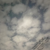 용 사진