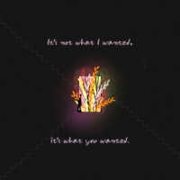 It's not what I wanted, it's what you wanted 사진