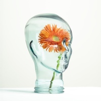 flowers 사진