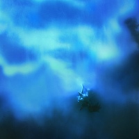 Dream of a Burning Star 사진