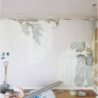 Rebuild 사진