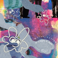Amoeba 사진