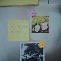 one 사진
