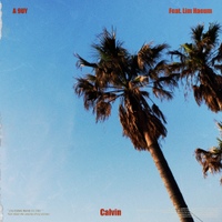 Calvin (Feat. Lim Haeum) 사진