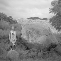 살은 것들을 알아보는 사랑 사진