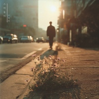 Image Cover